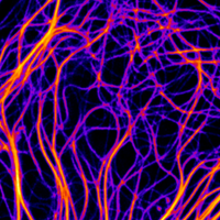 Chemogenetic tools to investigate and control cellular functions in new ways