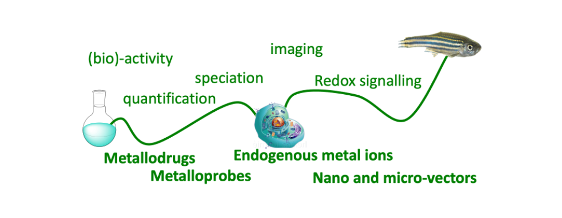 Metals in Biology and Redox Homeostasis team photo