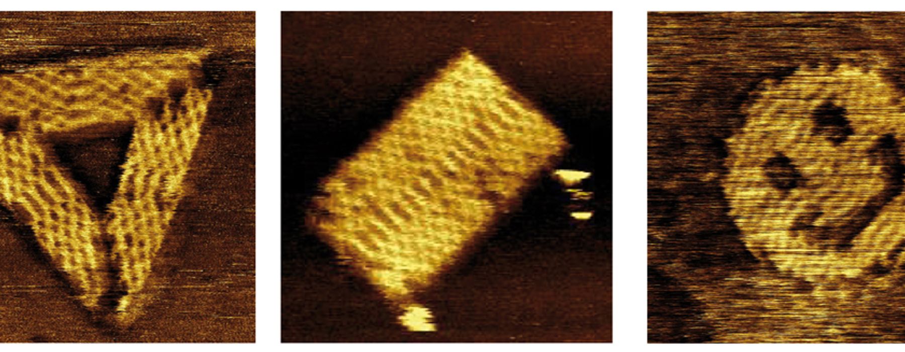 Synthetic and Living Soft Matter team photo