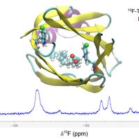 Isotopic labeling of proteins and lipids, lipidomics