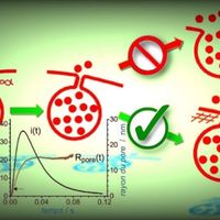 Modeling vesicular exocytosis in excitable cells